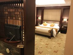 -宜春明月山机场