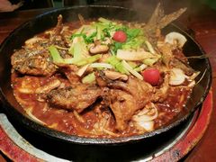-老板恋上鱼(高新万达店)