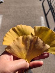 -Oasis Beauty水磨坊科技美肤中心