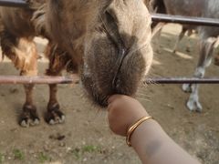 -太湖龙之梦