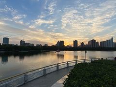 -莲花池公园