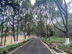 -富乐山