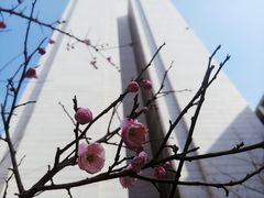 -无锡市市民中心