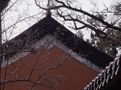 -灵谷景区
