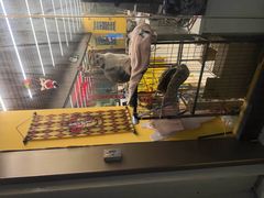 -谜盒子奇幻密室(南屏店)