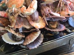 -鲁前海沿儿