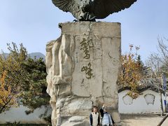 -北京鹫峰国家森林公园