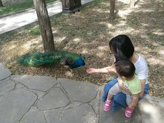 -北京麋鹿生态实验中心