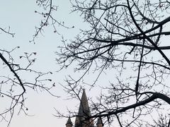 -恒大足球学校