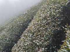 -东白山