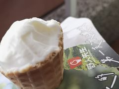 -野人先生Gelato(上海长宁龙之梦店)
