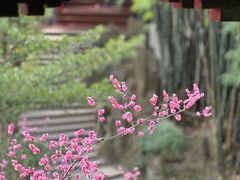 -望江楼公园