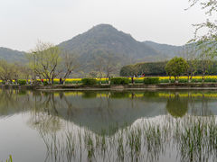 -八卦田遗址公园