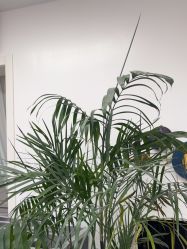 -爱秀造型 T-G