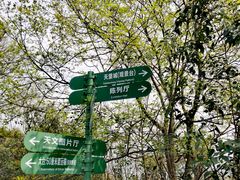 -紫金山天文台