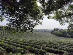 -敬亭山风景名胜区