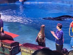 -烟台海昌鲸鲨海洋公园