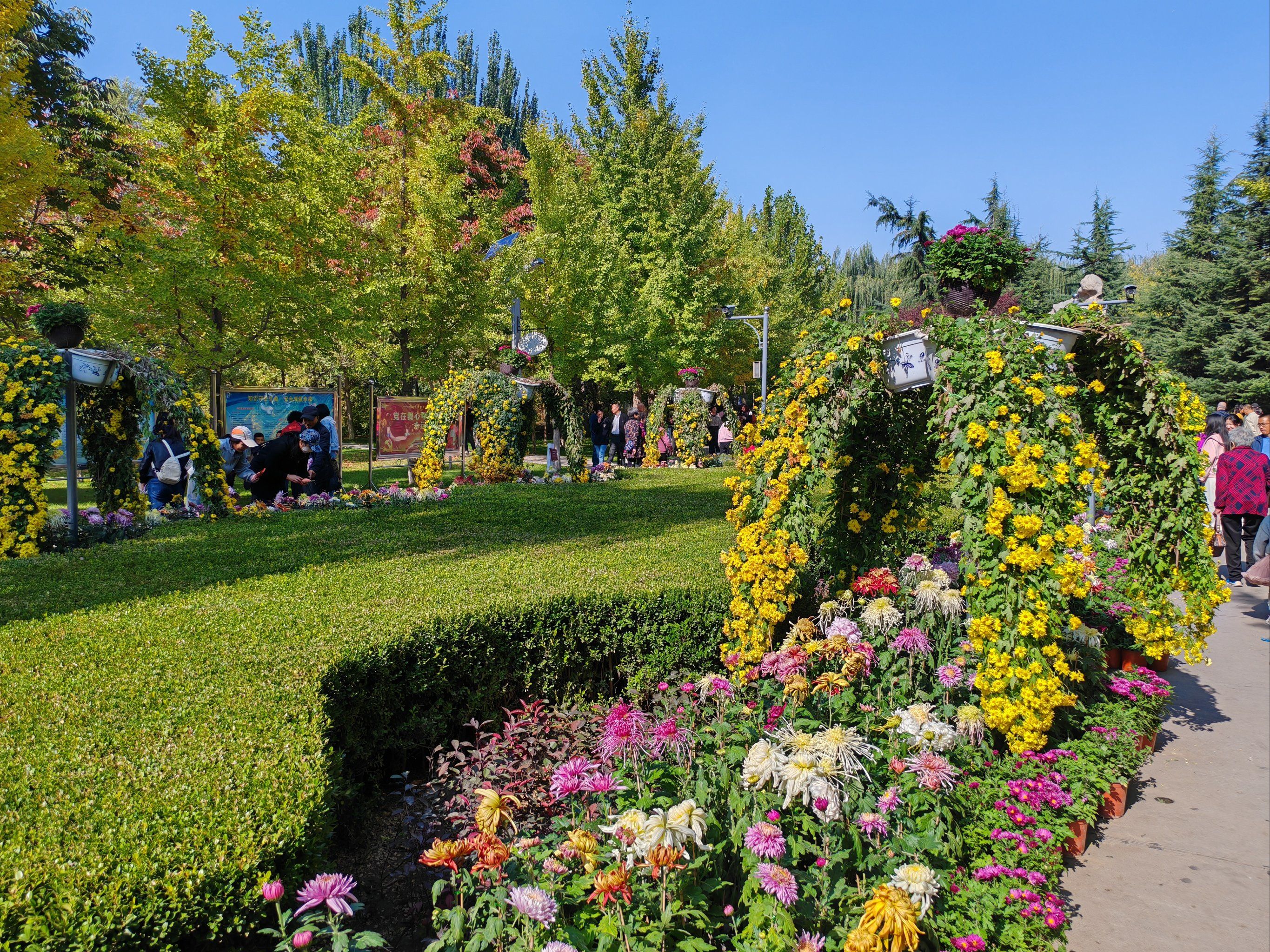 百花争艳百花齐放的植物园