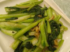 生炒菜心-海龙渔村(万江分店)