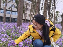 -东南大学(九龙湖校区)