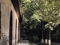 -灵谷景区