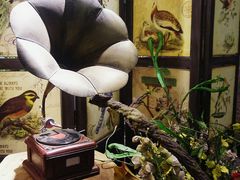 -花溪雨·森林餐厅(石基店)