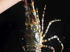 -松坂屋日料自助(长城路店)