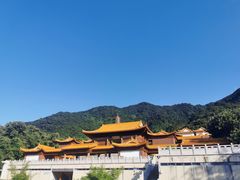 -深圳仙湖植物园