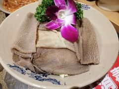 精品鲜毛肚-小龙坎火锅(春熙太古里店)