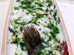 荠菜烩笋壳鱼-蝶园·装修中(BFC外滩金融中心店)