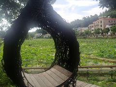 -红山村