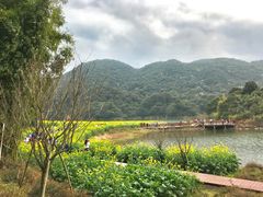 -广州市石门国家森林公园