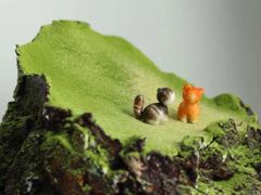 -慕可创意美学·定制CAKE·微景观蛋糕(总店)