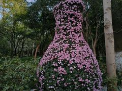 -杭州植物园