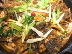 -老板恋上鱼(恒隆广场店)