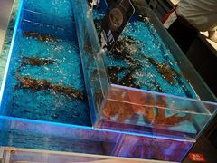 -海底捞火锅(长宁路龙之梦店)