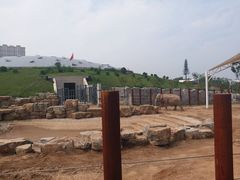 -太原动物园