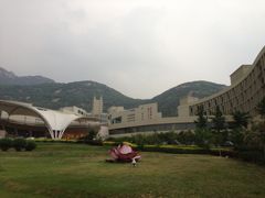 -泰安东尊华美达广场酒店·自助餐厅