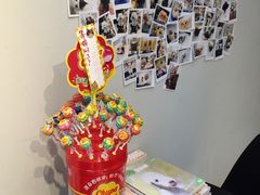 -PETKIT 小佩宠物·低压洗护·美容·寄养(安远店)