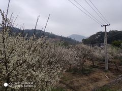 -福建天门山
