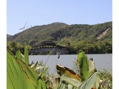 -长广溪湿地公园