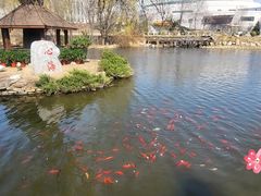 -武汉大学-樱园
