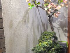 -天天鱼港·海鲜·鲅鱼水饺·招牌烤鸭(黄骅店)