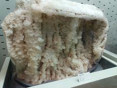 -浙江自然博物院(杭州馆)