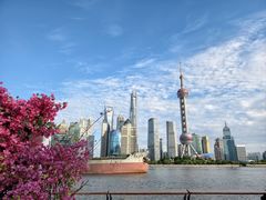 -北外滩滨江绿地