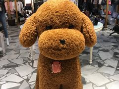 -威尼斯人酒店琳琅美食广场