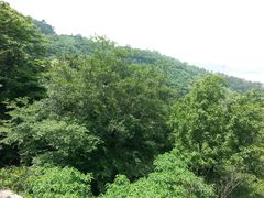 景点-达蓬山旅游度假区