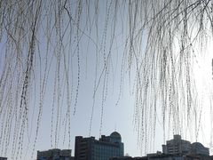 -文瀛公园