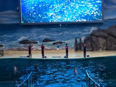 -福州罗源湾海洋世界旅游区