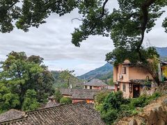 -杨家堂村
